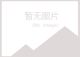 鹤城区迎夏能源有限公司